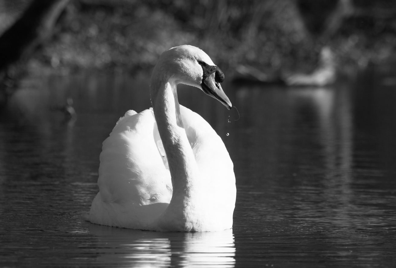 2016 01 03 HTP 000091463ebw